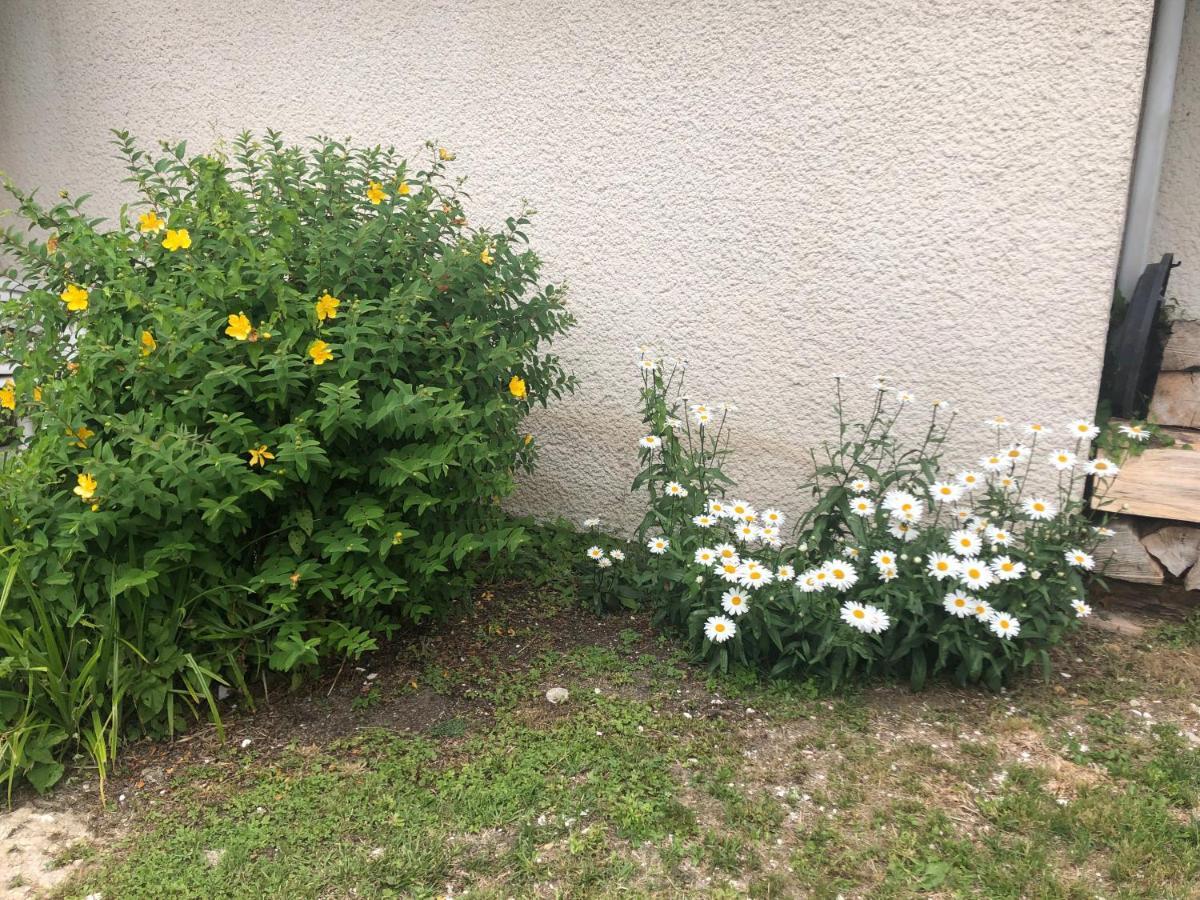 Le Cottage فيلي سور مير المظهر الخارجي الصورة